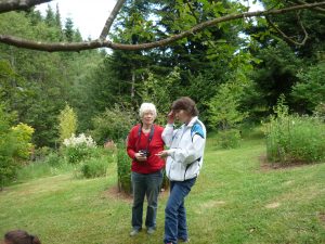 Mmes Gouby et Defour