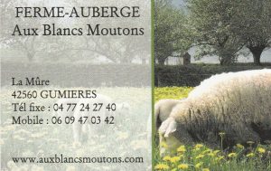 classes en 6 2016 gumieres